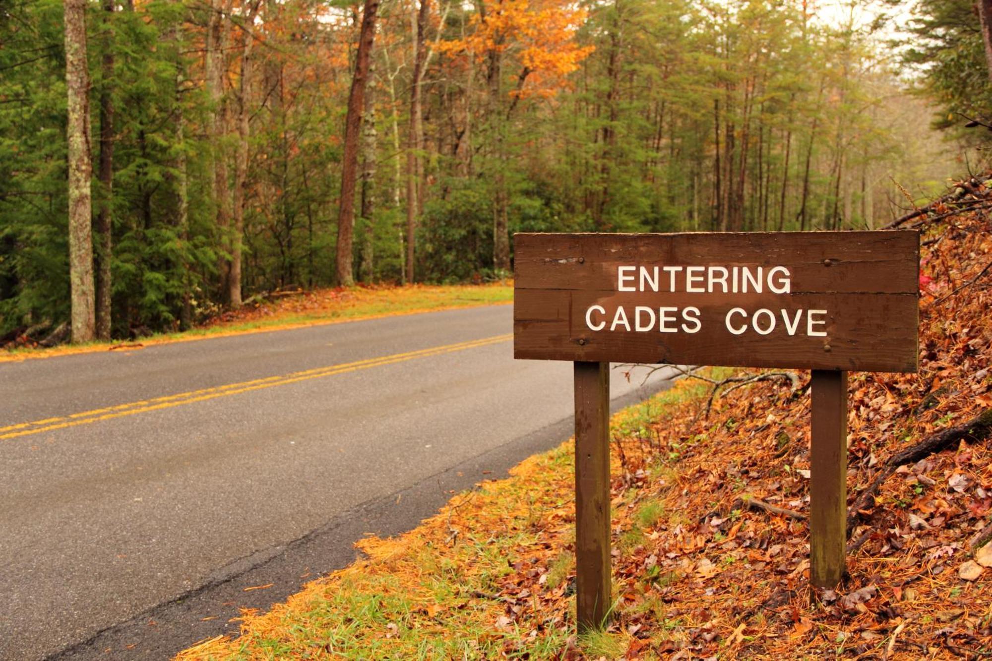 The Cozy Cove, Hot Tub, Wifi, 1089 Free Tickets Each Paid Day, Dollywood And More Sevierville Kültér fotó